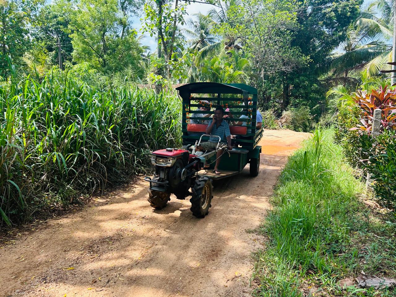 Safari Tour Moments